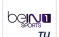 beIN SPORTS 1 Turkey